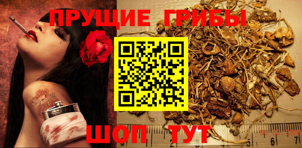 Галлюциногенные грибы Cubensis Великий Устюг